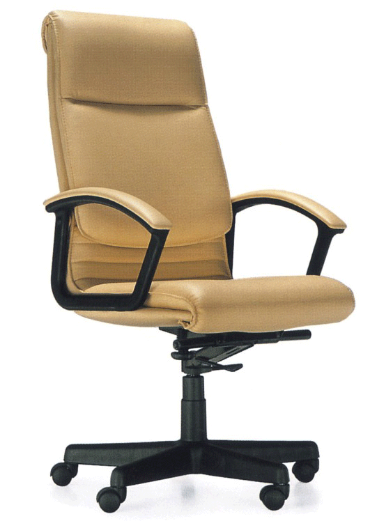 �칫������CH013A(����Ƥ)