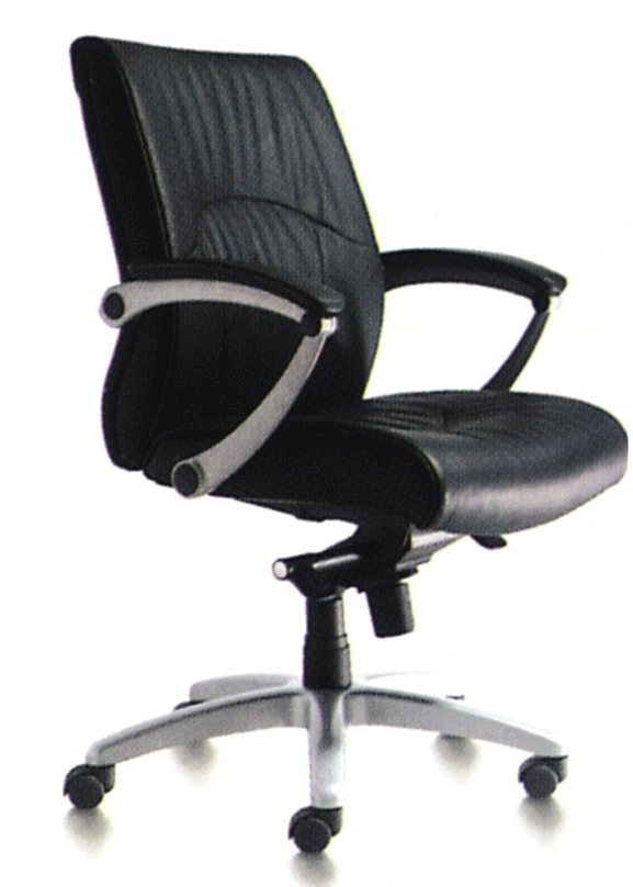 �칫������CH011B(����Ƥ)