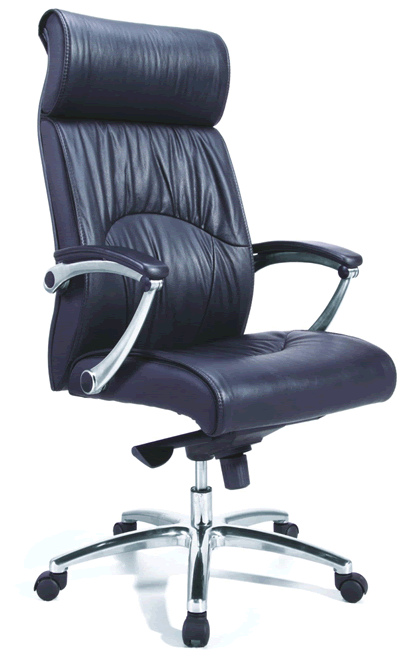 �칫������CH011A(����Ƥ)