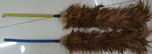 ��ͨ��ë��