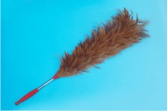 ����ֱ���ë��