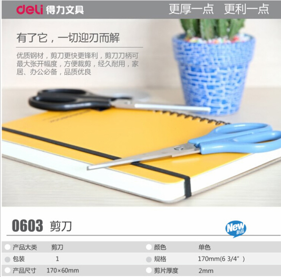 ����0603����