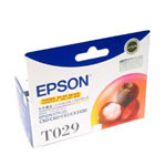 EPSON T029ī��
